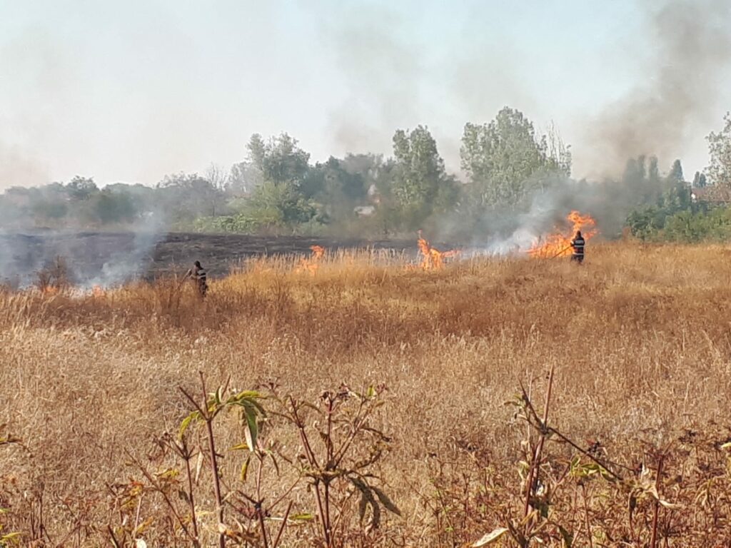 Incendiu la Facai