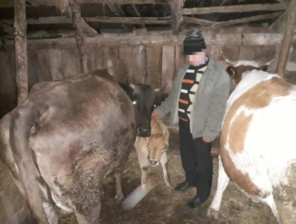 Polițiștii vâlceni au luat urma unei grupări specializate în furt de animale Polițiștii vâlceni au luat urma unei grupări specializate în furt de animale