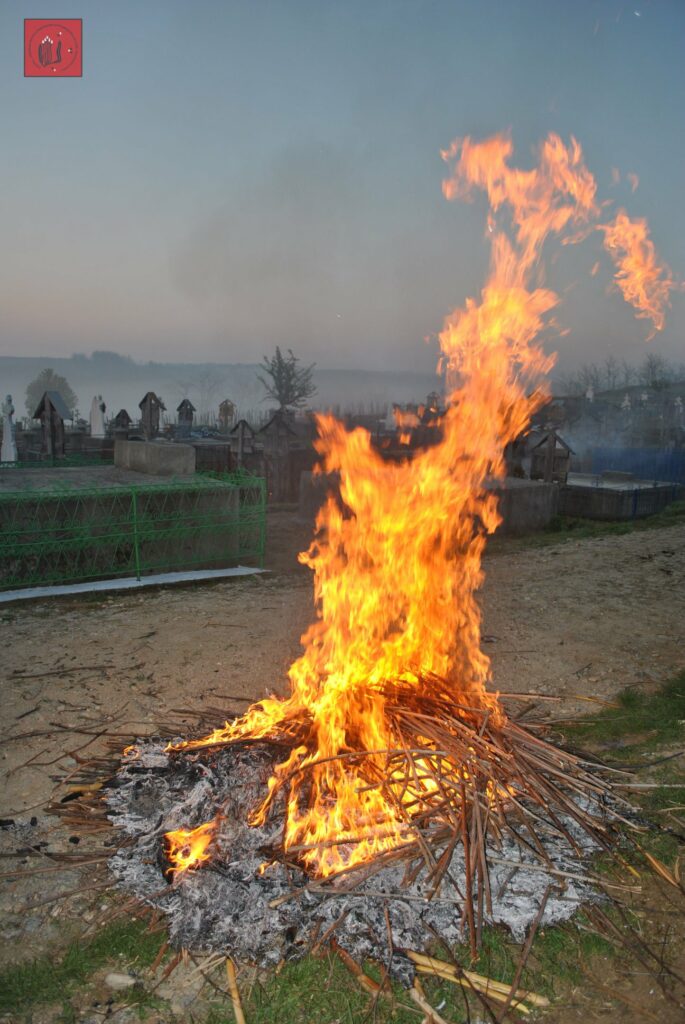 58381353_2137501716474784_7879342616632885248_n - Jurnalul Olteniei – Știri din Craiova și Oltenia