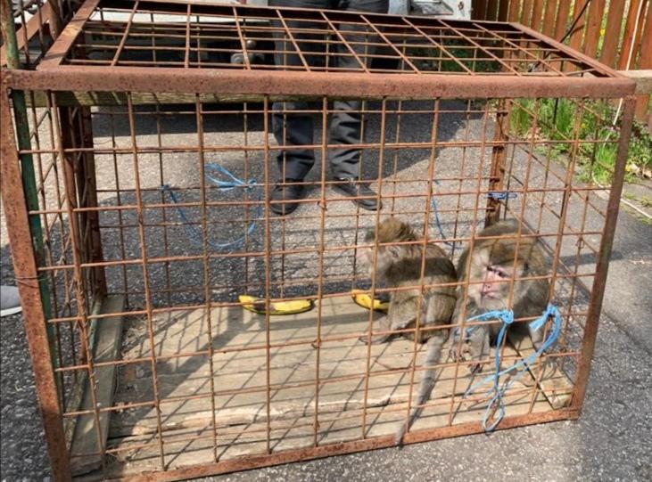 WhatsApp-Image-2021-04-23-at-08.34.13 - Jurnalul Olteniei – Știri din Craiova și Oltenia