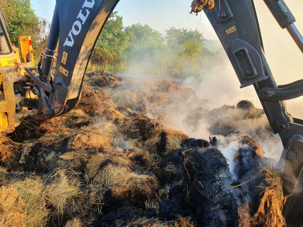 3206B47F-4DBC-4B7E-BB03-AA3E922A2468 - Jurnalul Olteniei – Știri din Craiova și Oltenia