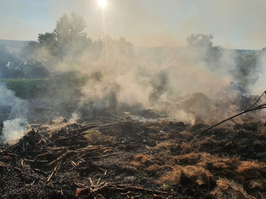 46060801-7ADD-4465-9314-F32053419EA4 - Jurnalul Olteniei – Știri din Craiova și Oltenia