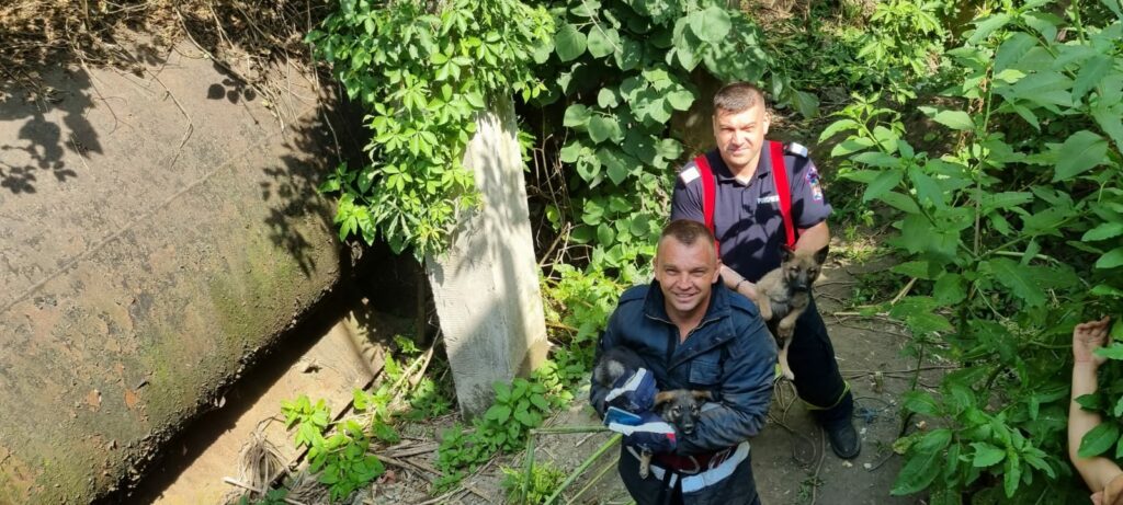 3DE7CFD1-AA38-4BA5-A381-73C1A0D705C3 - Jurnalul Olteniei – Știri din Craiova și Oltenia