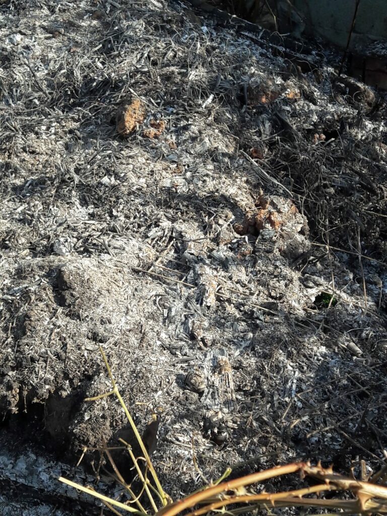 WhatsApp-Image-2021-08-17-at-03.08.19-1 - Jurnalul Olteniei – Știri din Craiova și Oltenia