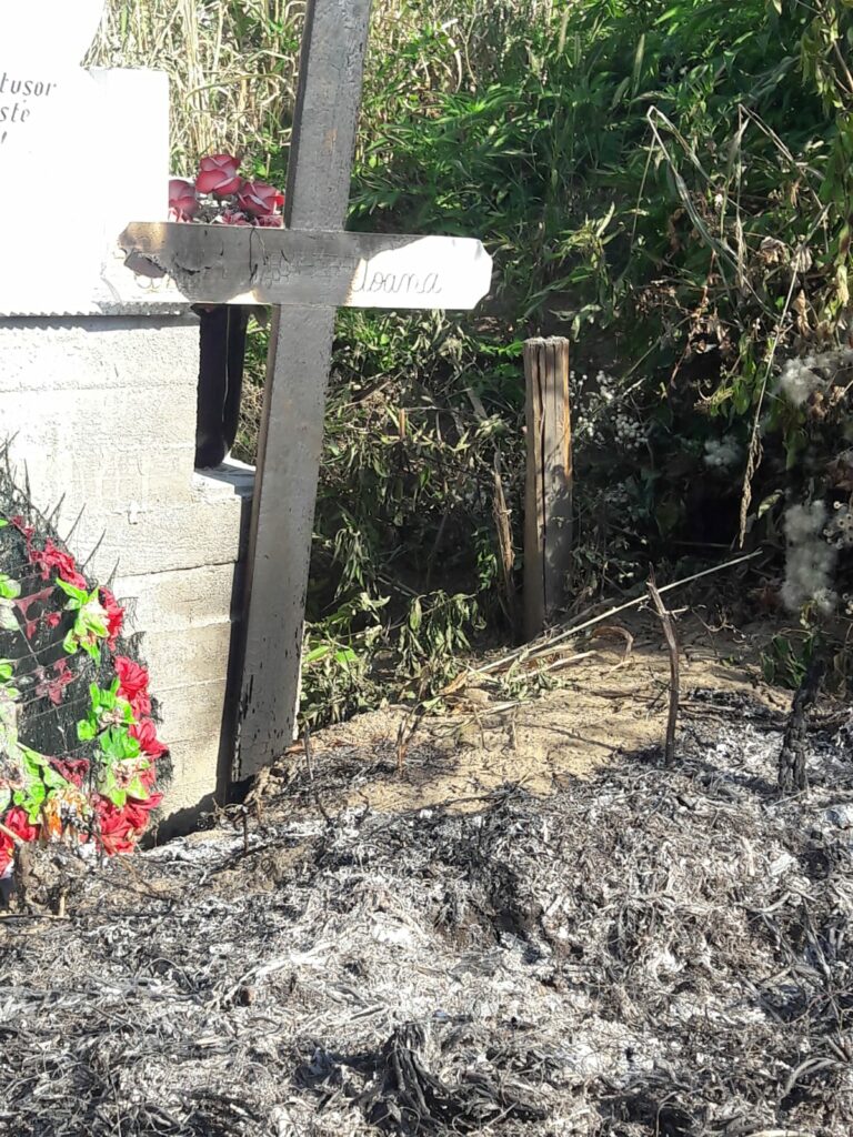 WhatsApp-Image-2021-08-17-at-03.08.19 - Jurnalul Olteniei – Știri din Craiova și Oltenia