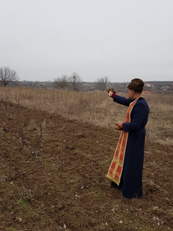 trif-1 - Jurnalul Olteniei – Știri din Craiova și Oltenia