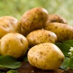 Cultivatorii de cartofi vor putea primi în acest an un sprijin financiar de 200 de euro