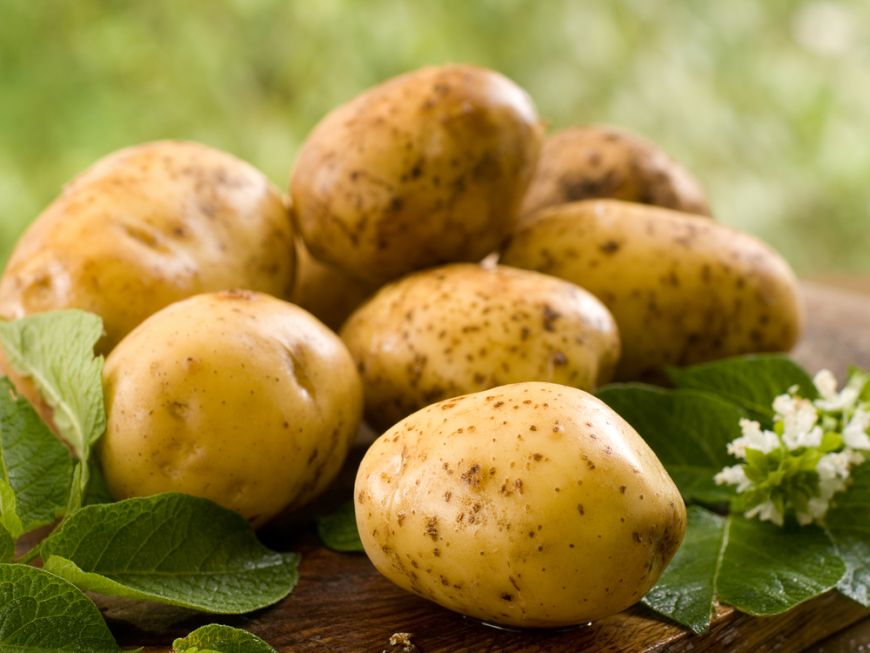 Cultivatorii de cartofi vor putea primi în acest an un sprijin financiar de 200 de euro