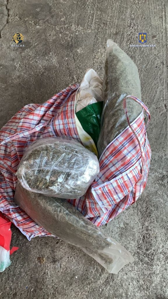 canabis - Jurnalul Olteniei – Știri din Craiova și Oltenia