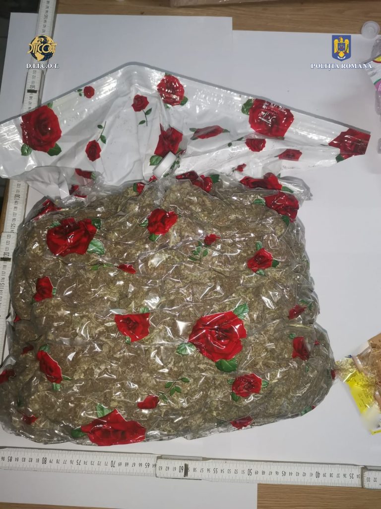 droguri - Jurnalul Olteniei – Știri din Craiova și Oltenia