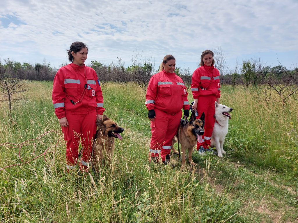 caini-salvatori - Jurnalul Olteniei – Știri din Craiova și Oltenia