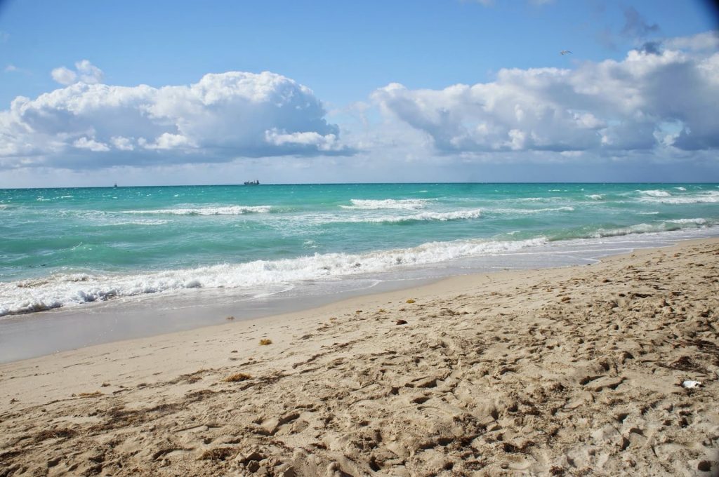 mare