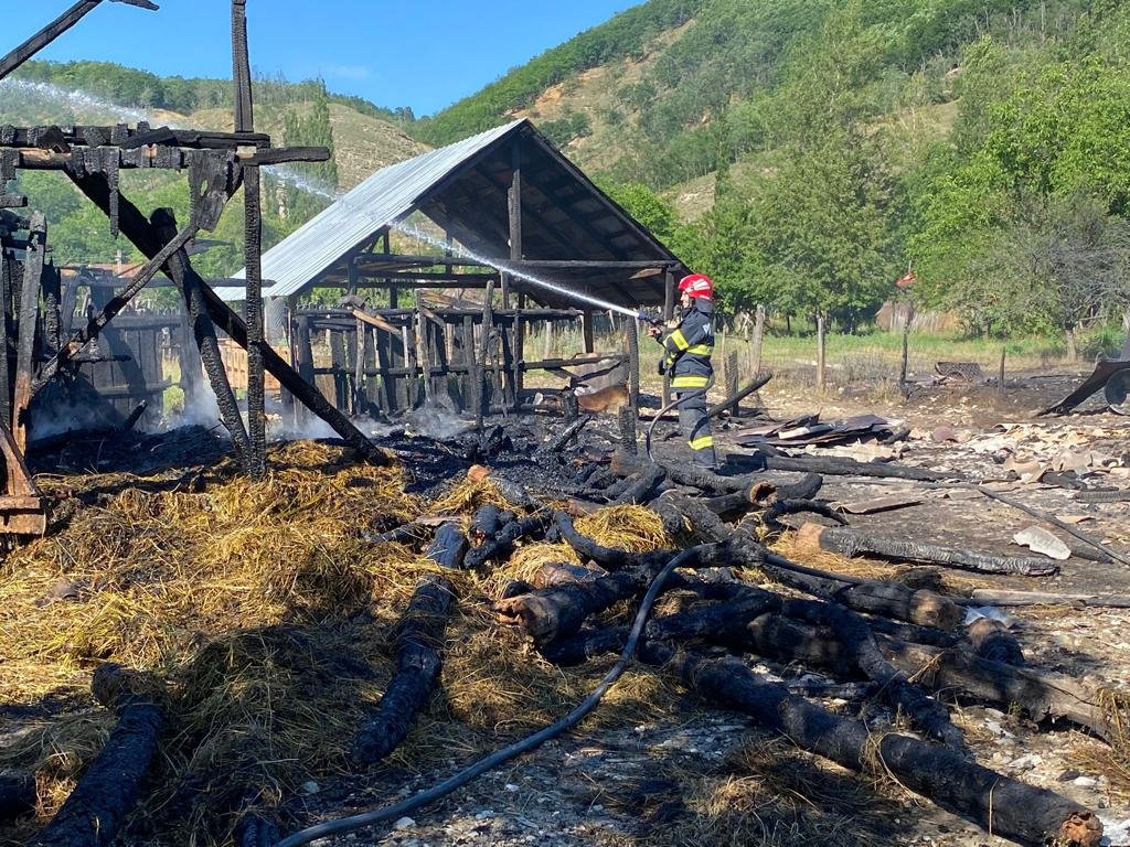 4444 - Jurnalul Olteniei – Știri din Craiova și Oltenia