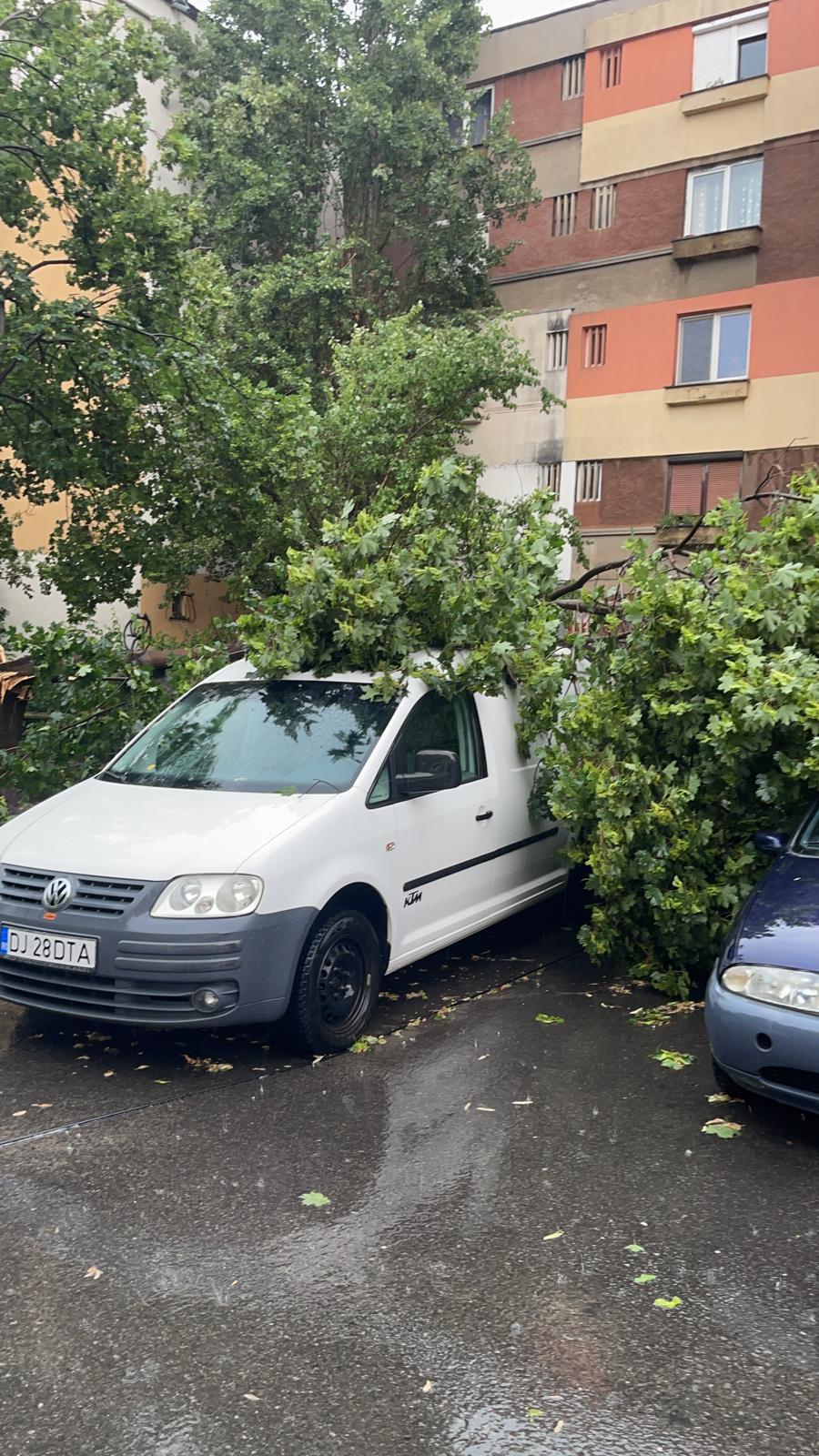 WhatsApp-Image-2022-07-02-at-07.44.20 - Jurnalul Olteniei - Stiri regionale din Oltenia