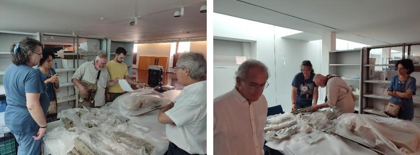 Foto-5 - Jurnalul Olteniei – Știri din Craiova și Oltenia