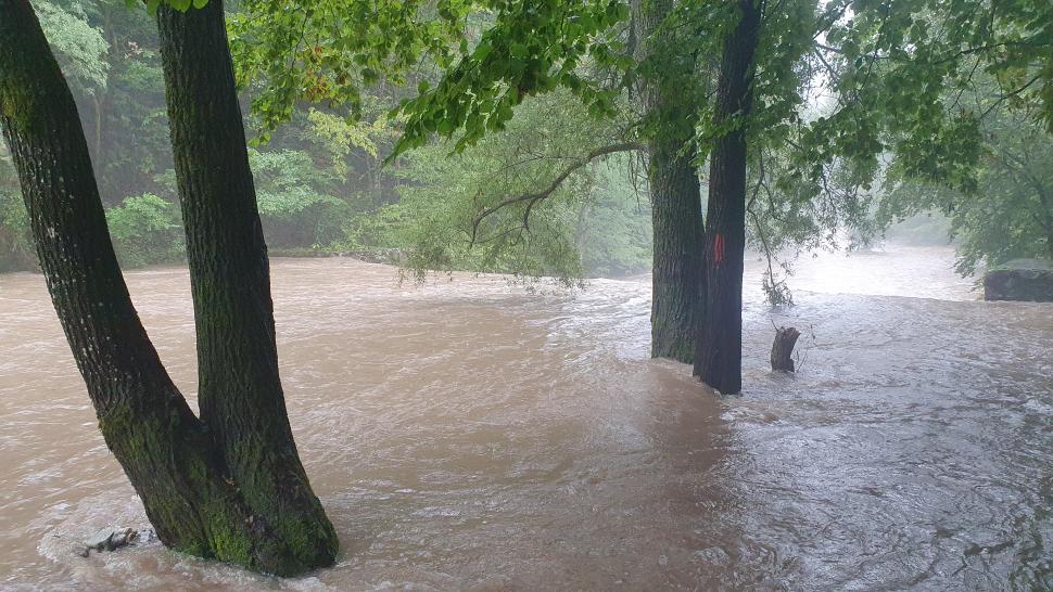 f3fed56d7fd7408b19ade93e9ba721edmaxim - Jurnalul Olteniei – Știri din Craiova și Oltenia