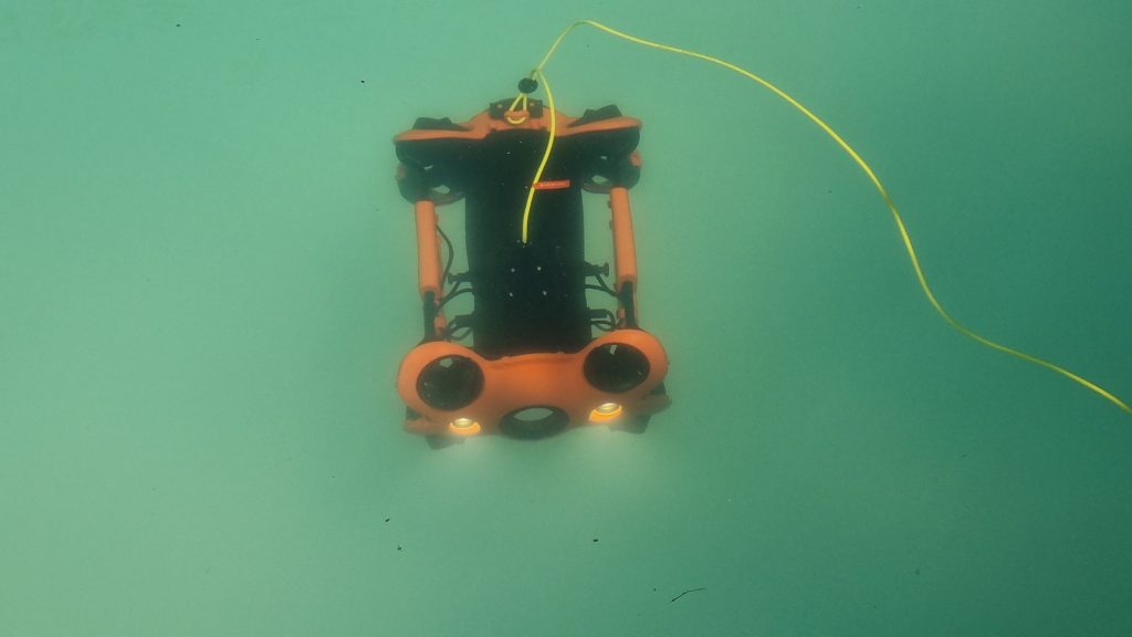 dorna - Jurnalul Olteniei – Știri din Craiova și Oltenia