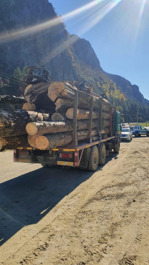 lemne - Jurnalul Olteniei – Știri din Craiova și Oltenia