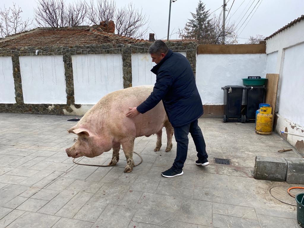 WhatsApp-Image-2022-12-22-at-10.36.18 - Jurnalul Olteniei - Stiri regionale din Oltenia