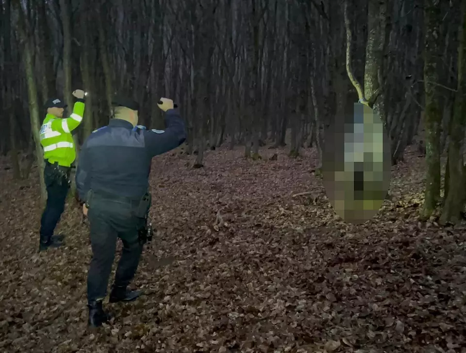 caini-bistrita3-1 - Jurnalul Olteniei – Știri din Craiova și Oltenia