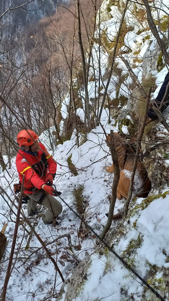 330238367_852692176027945_2041298515959458538_n - Jurnalul Olteniei – Știri din Craiova și Oltenia