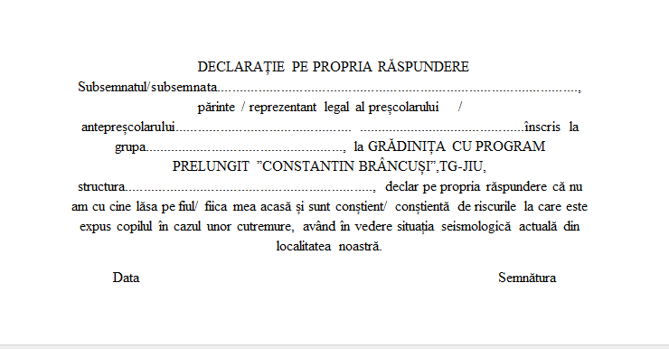 declaratie-pe-proprie-raspundere1 - Jurnalul Olteniei – Știri din Craiova și Oltenia