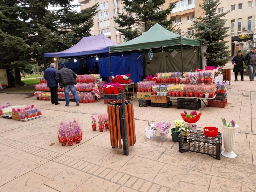 6eb7f0b329d269554e3604b9c71ec761maxim - Jurnalul Olteniei – Știri din Craiova și Oltenia