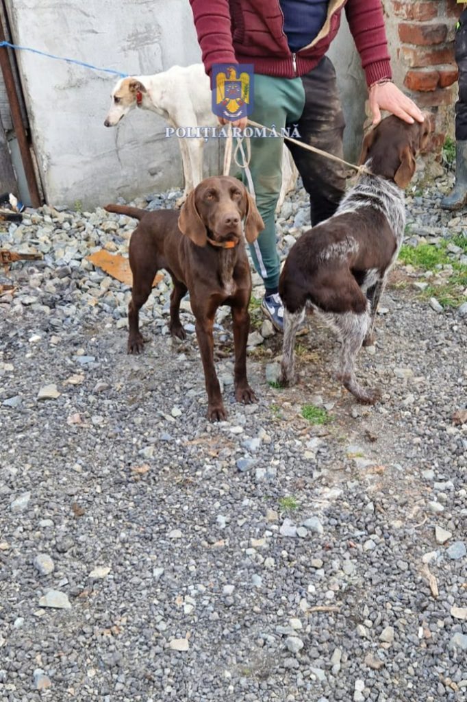 IMG-20230306-WA0014 - Jurnalul Olteniei – Știri din Craiova și Oltenia