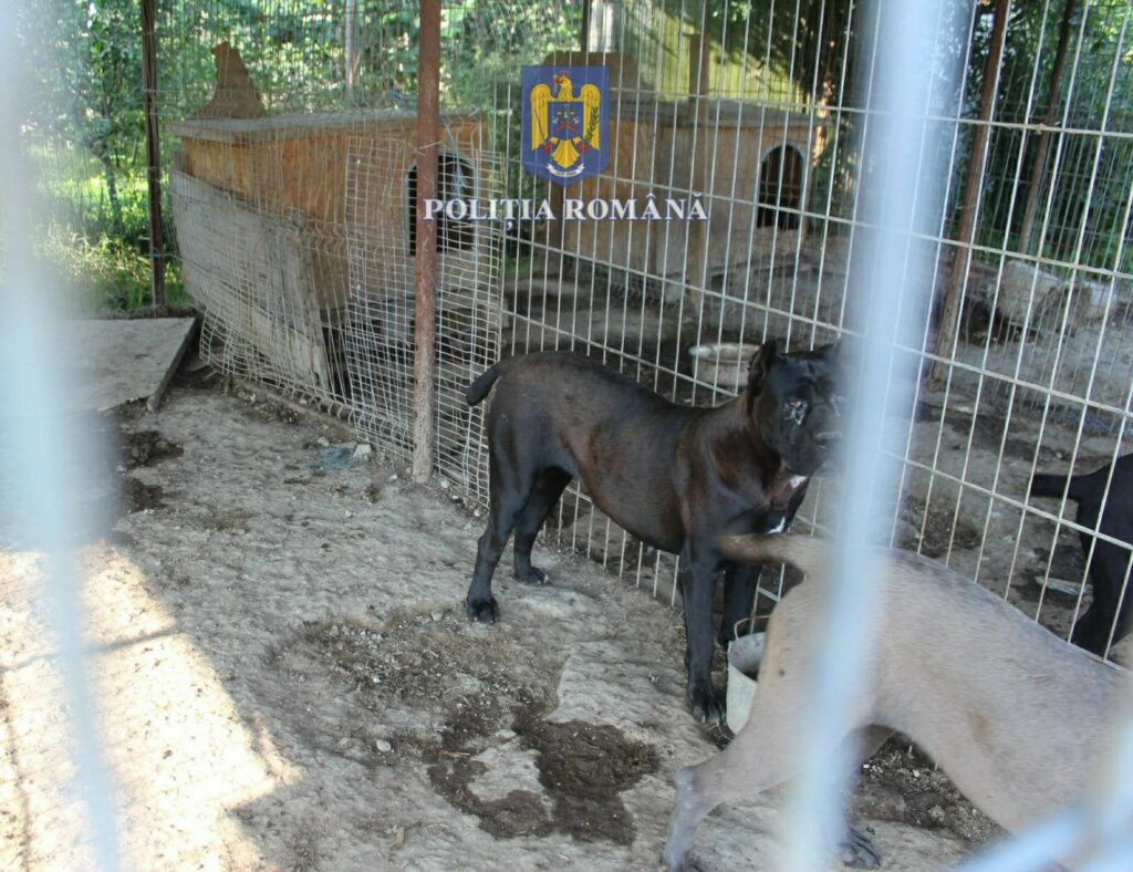 353838335_304529885470352_4801353256814415259_n - Jurnalul Olteniei – Știri din Craiova și Oltenia