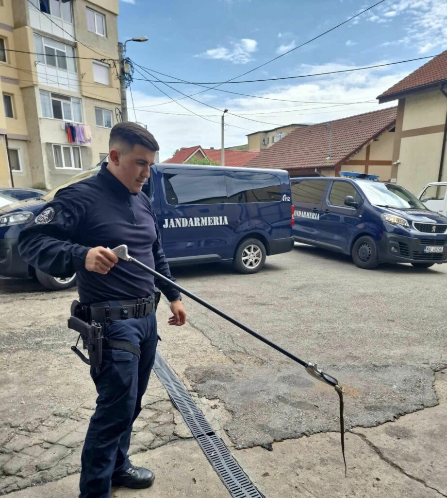 354599165_573249218324901_3682970860624961267_n - Jurnalul Olteniei – Știri din Craiova și Oltenia