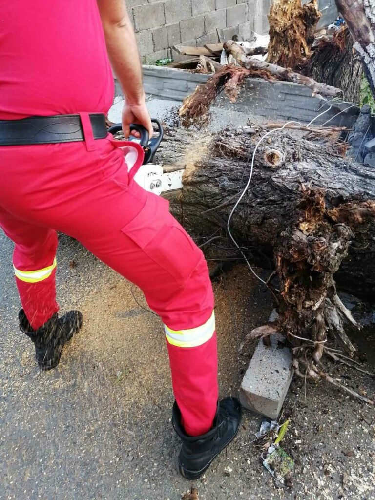 356545160_6291056861016618_5734518287675238956_n - Jurnalul Olteniei – Știri din Craiova și Oltenia