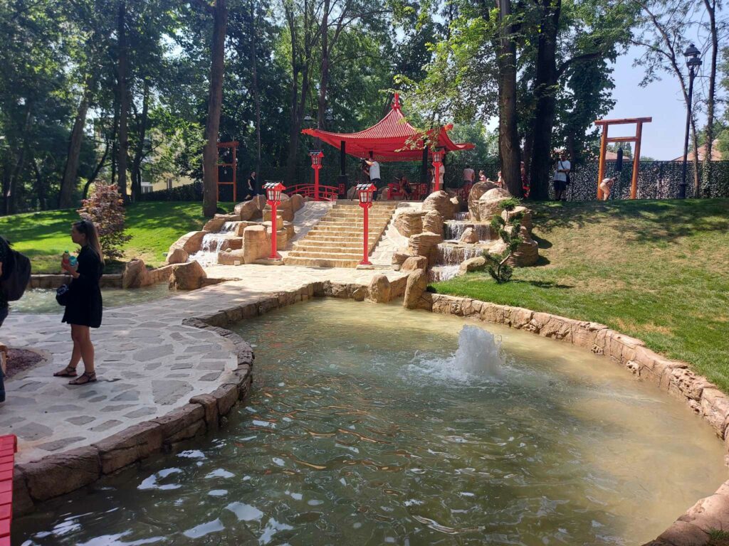 colt-chinezesc-pedagogic - Jurnalul Olteniei – Știri din Craiova și Oltenia