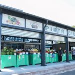 piata ciuperca