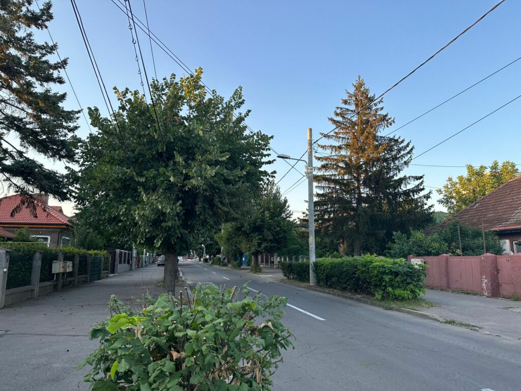WhatsApp-Image-2023-08-17-at-19.11.38-1 - Jurnalul Olteniei - Stiri regionale din Oltenia