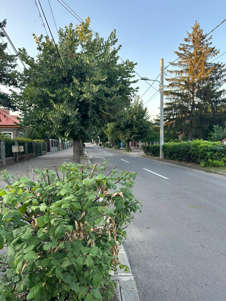 WhatsApp-Image-2023-08-17-at-19.11.38 - Jurnalul Olteniei - Stiri regionale din Oltenia