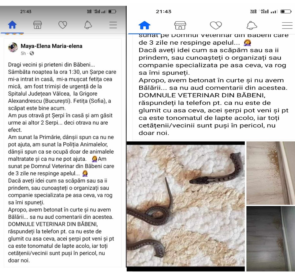postare-serpi-1 - Jurnalul Olteniei - Stiri regionale din Oltenia