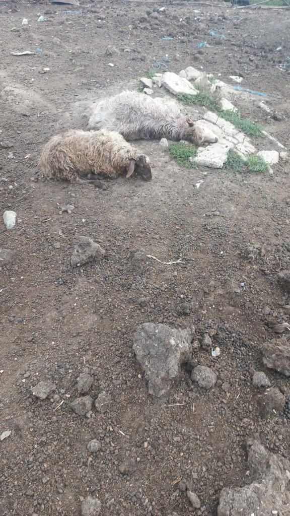 372673680_316861160903112_7023429220468027251_n - Jurnalul Olteniei – Știri din Craiova și Oltenia