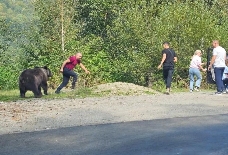 Turisti-urs-Transfagarasan-3-1024x768-1 - Jurnalul Olteniei – Știri din Craiova și Oltenia
