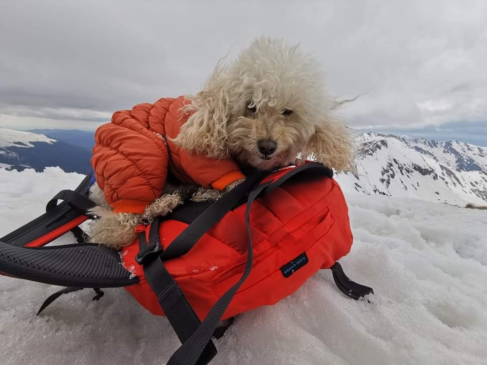 271121992_4932395823490523_3845275692523378128_n - Jurnalul Olteniei – Știri din Craiova și Oltenia