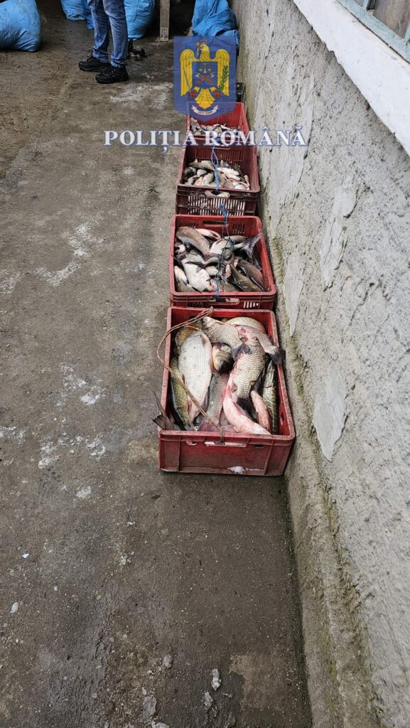 peste braconat - Jurnalul Olteniei – Știri din Craiova și Oltenia