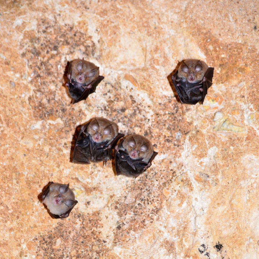 421837325_921730932619222_5546668754781148554_n - Jurnalul Olteniei – Știri din Craiova și Oltenia