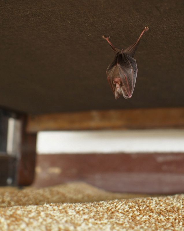 OLYMPUS DIGITAL CAMERA - Jurnalul Olteniei – Știri din Craiova și Oltenia