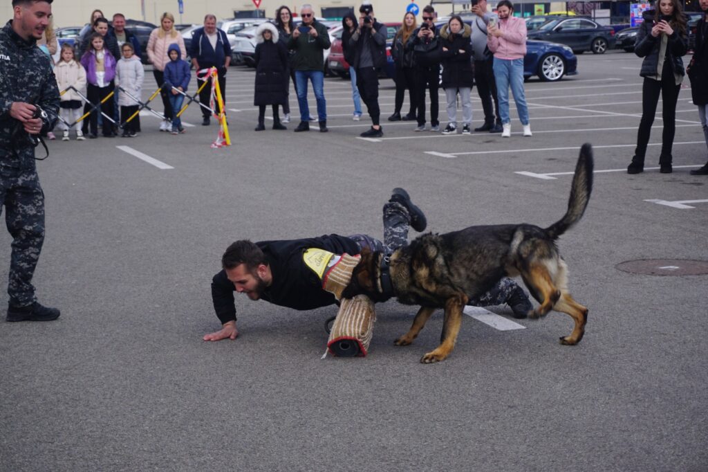 WhatsApp Image 2024-03-25 at 15.44.38 - Jurnalul Olteniei – Știri din Craiova și Oltenia