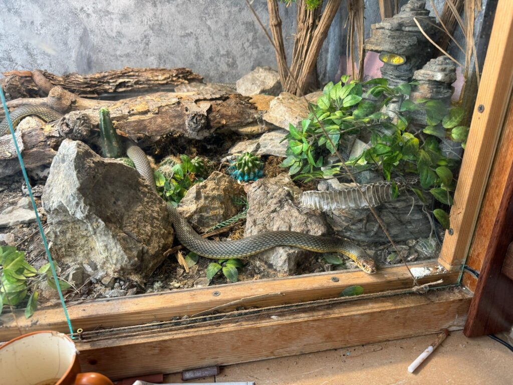 441881876_756225583361917_2146428384929616433_n - Jurnalul Olteniei – Știri din Craiova și Oltenia