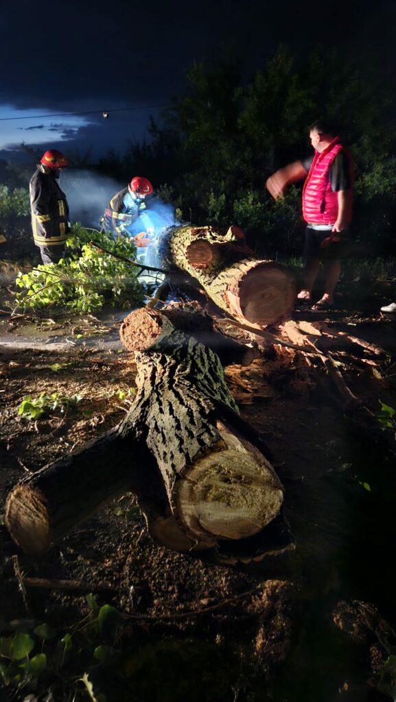 WhatsApp-Image-2024-06-14-at-09.20.06_b4e1355b - Jurnalul Olteniei – Știri din Craiova și Oltenia