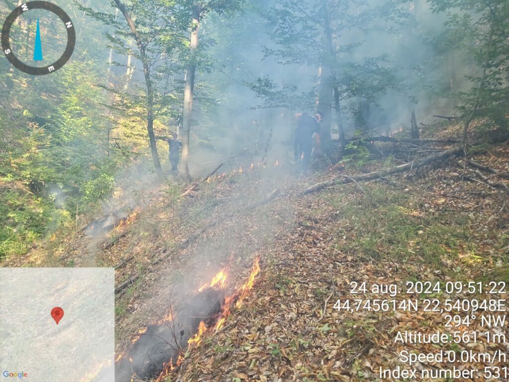 WhatsApp Image 2024-08-26 at 11.29.53 - Jurnalul Olteniei – Știri din Craiova și Oltenia