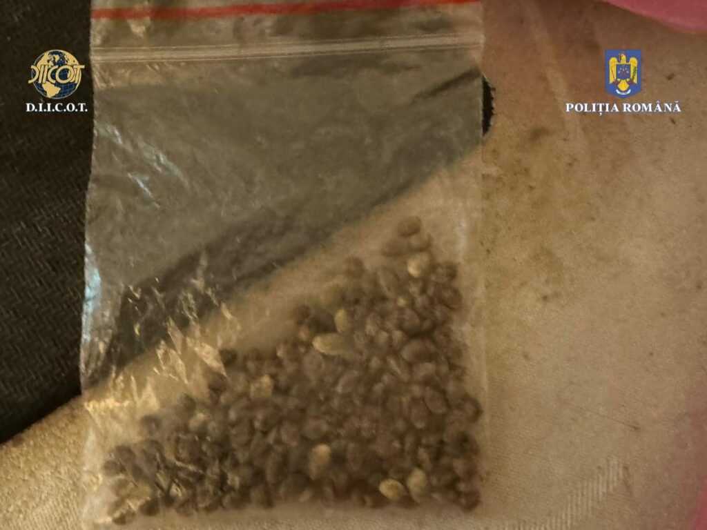 WhatsApp Image 2024-10-25 at 14.10.19 - Jurnalul Olteniei – Știri din Craiova și Oltenia