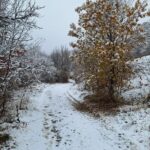 Foto: Facebook/ Meteoplus
