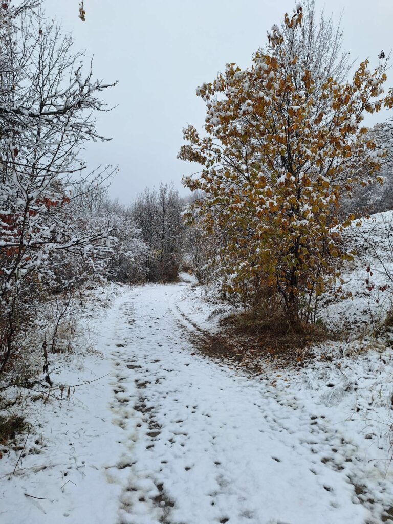 Foto: Facebook/ Meteoplus