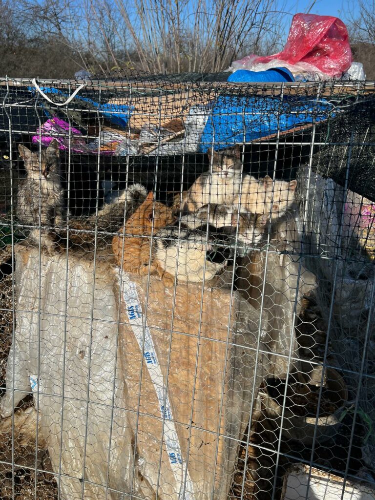 1000082388 - Jurnalul Olteniei – Știri din Craiova și Oltenia